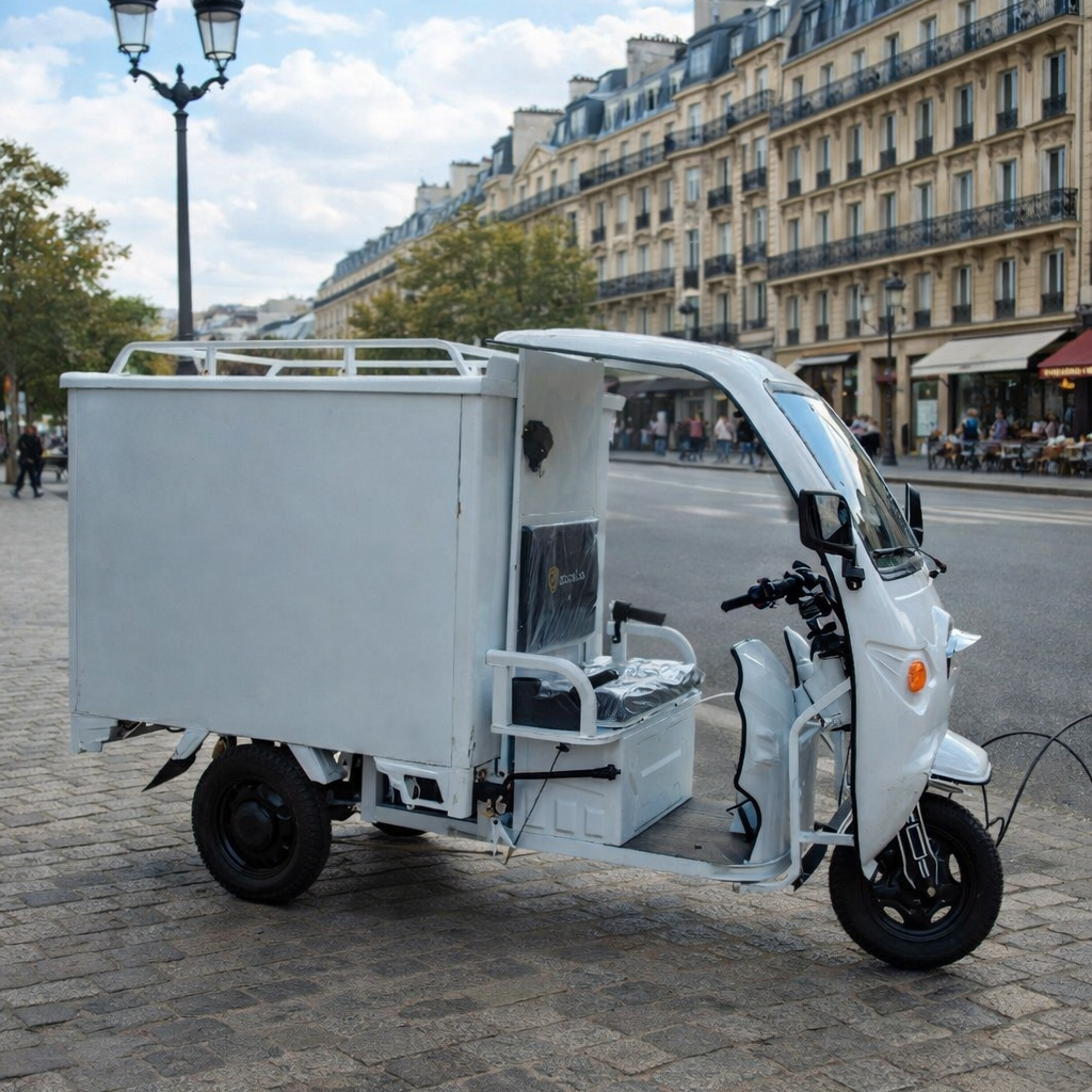 Carguero Con Furgón 1.8